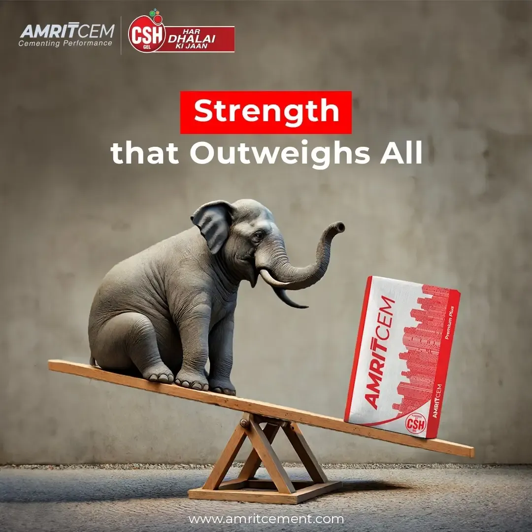 Social post reading Strength that outweighs all, an elephant balanced against a cement bag on a seesaw